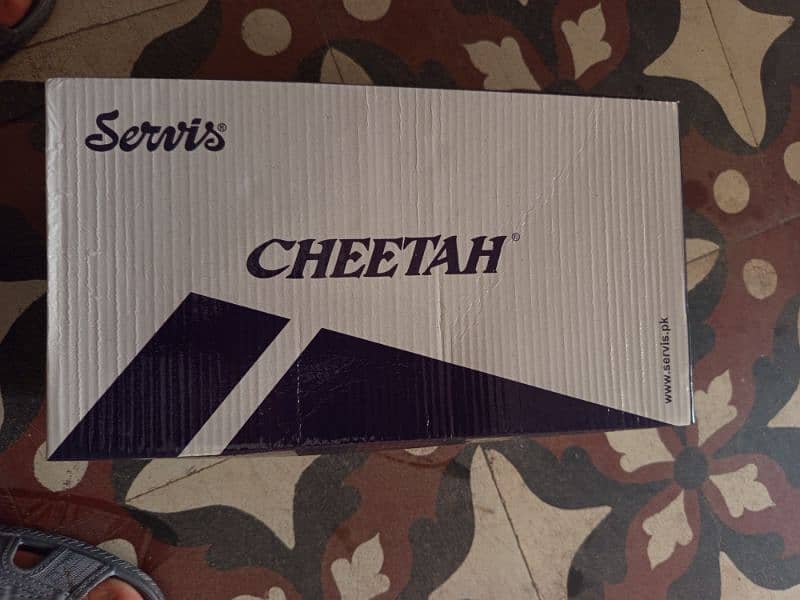 Service cheetah shoes joggers 1