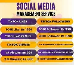 TikTok,Instagram,YouTube. Facebook I Likes Views Followers Subscribers