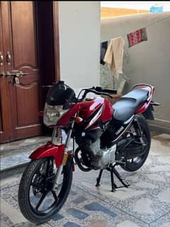 Yamaha YBR 125 2023 model