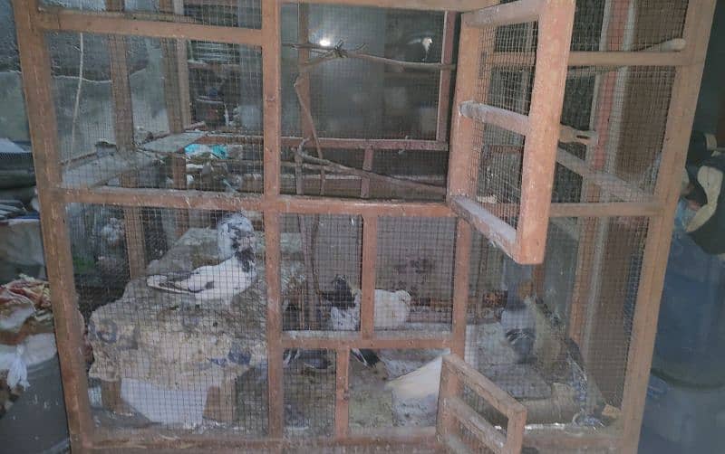 *URGENT SALE*. Pigeon & Hen double Compartment Cage 2