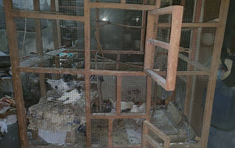 *URGENT SALE*. Pigeon & Hen double Compartment Cage 4