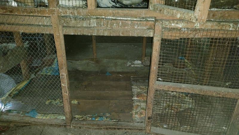 *URGENT SALE*. Pigeon & Hen double Compartment Cage 5