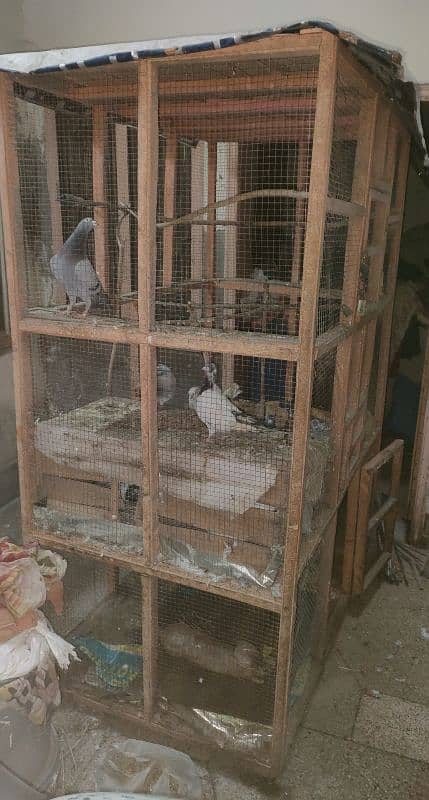 *URGENT SALE*. Pigeon & Hen double Compartment Cage 7