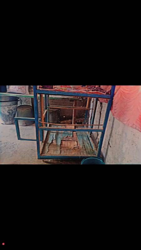 Bird Cage For Sale 1