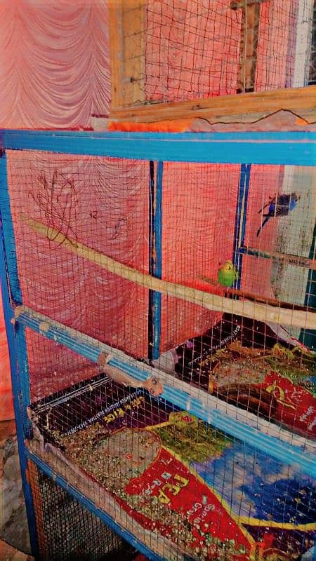 Bird Cage For Sale 3