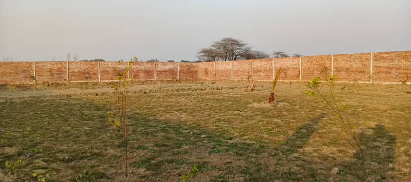 1 kanal farm house land at bedian road 1