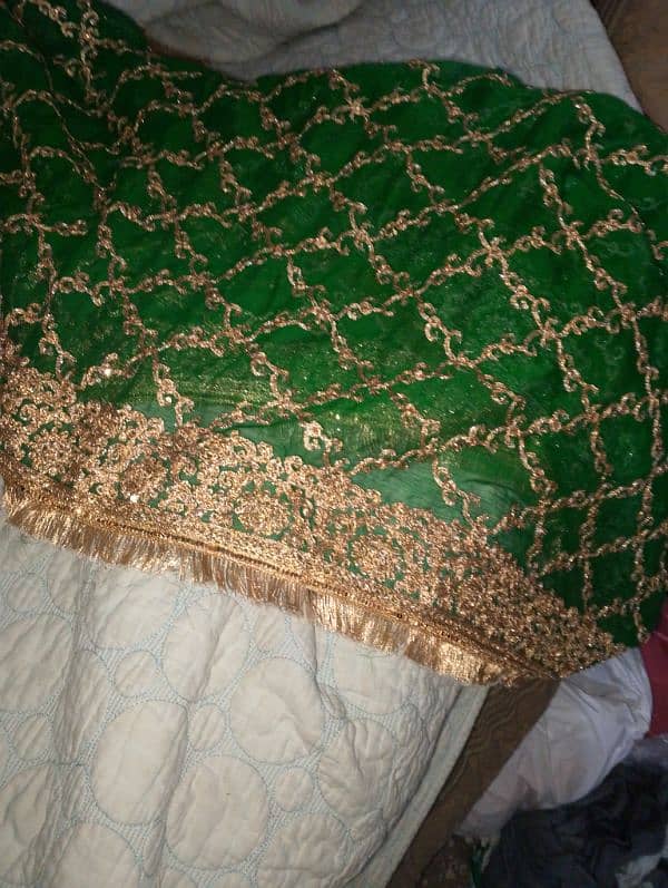 mehndi lehnga for bridal 1