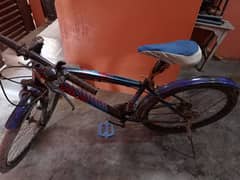 cycle for sale