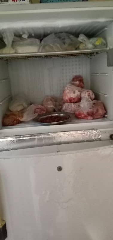 Freezer for Sell 1