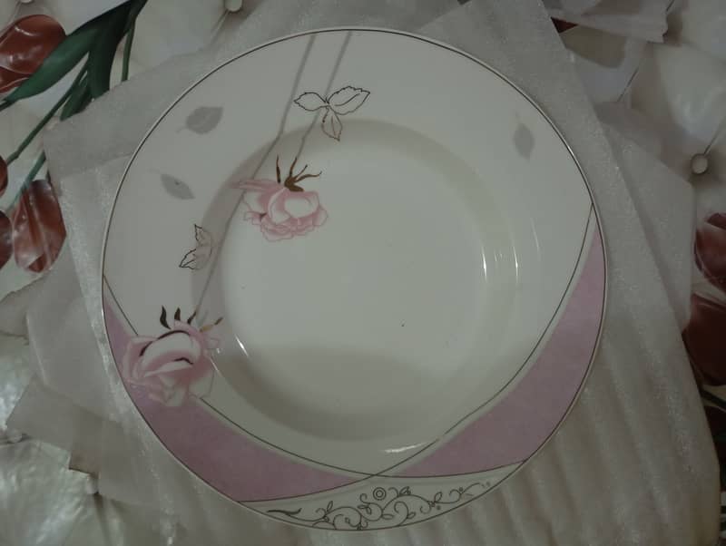 Beautiful new dinner set 80 pcs 7