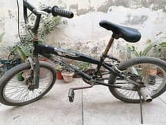 Teenage Bicycle for Sale