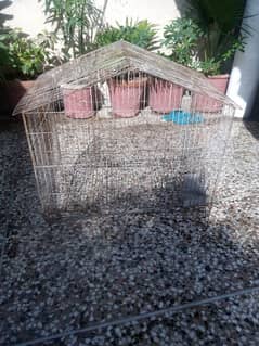 Bird cage