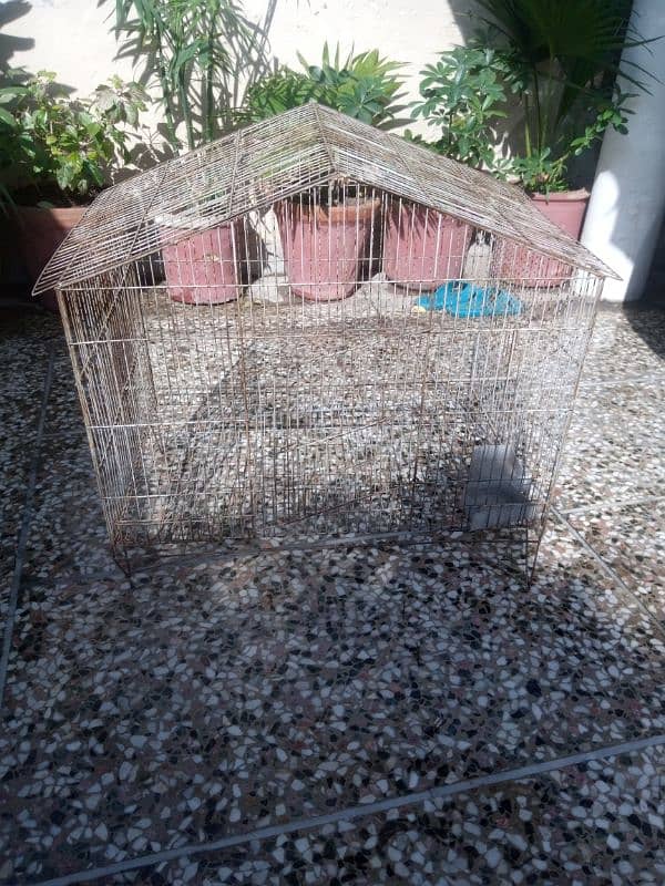 Bird cage 0