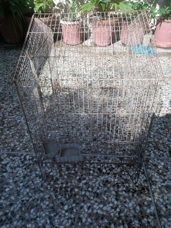 Bird cage 1