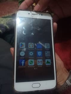 Vivo Y 67 (Completely Ok)