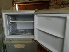 Pel full size fridge