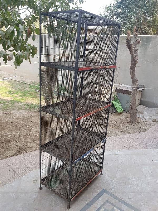 4 portion birds Cage 1