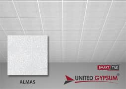 2x2 Gypsum Ceiling, PVC Ceiling, POP Ceiling, 4x8 Ceiling, Fancy Walls