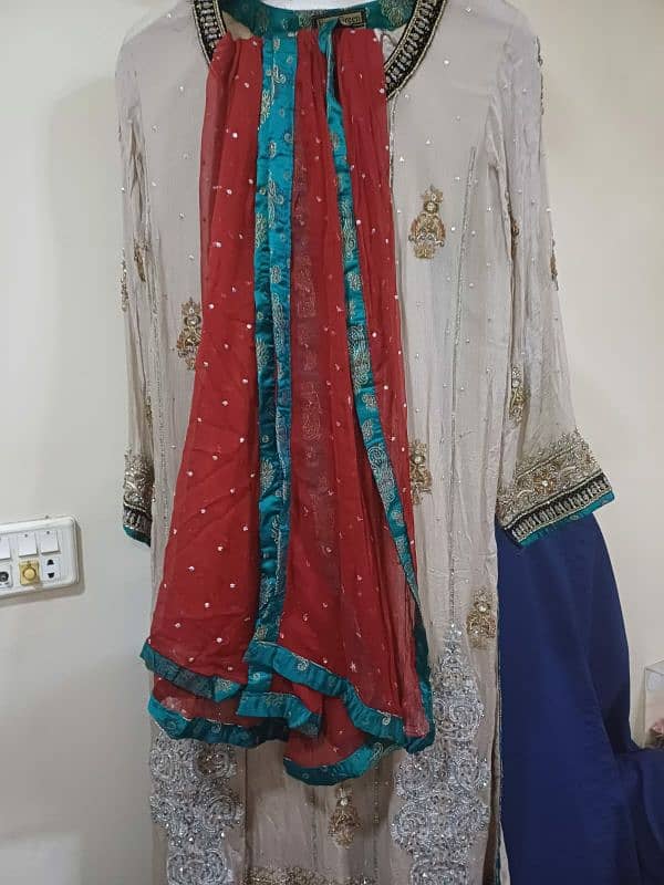 Hand embroidered dresses (lehenga,long shirt,velvet) 9