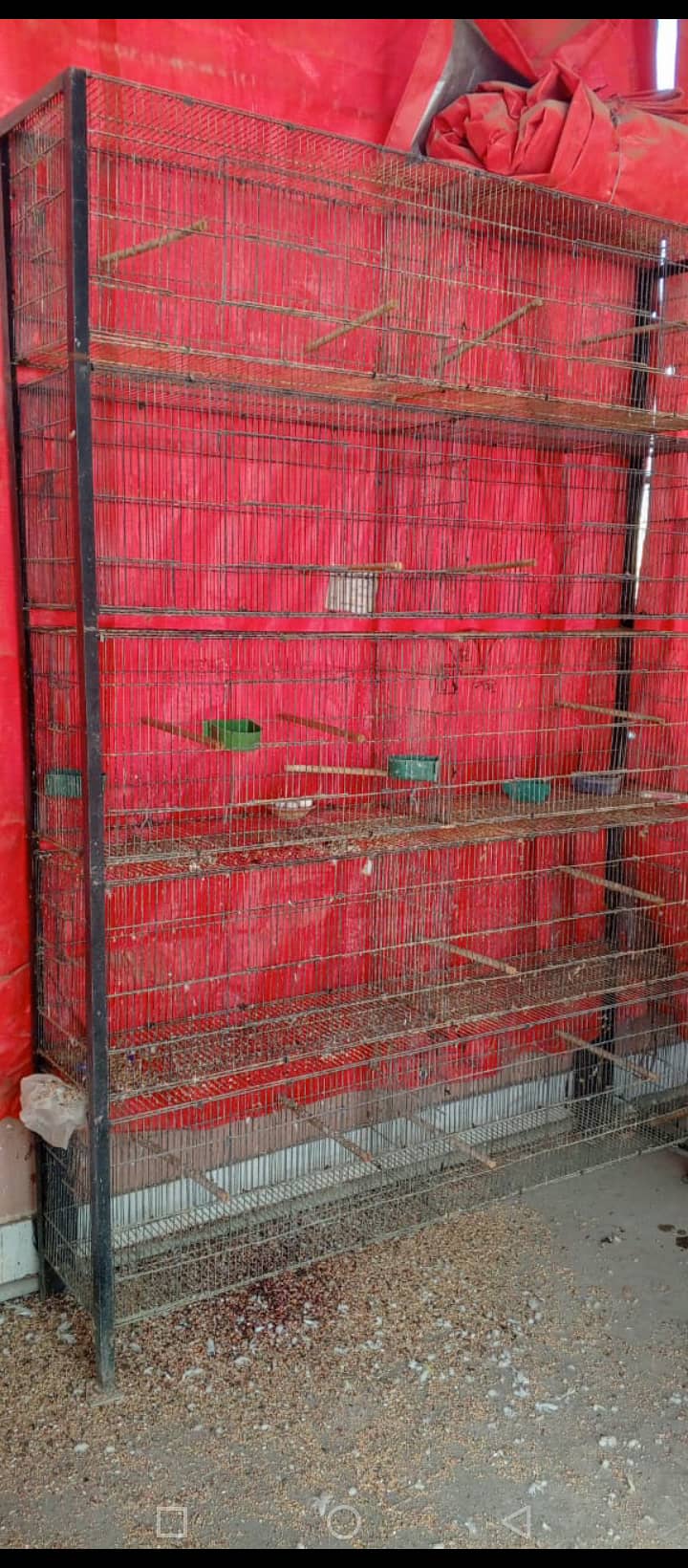 Cage For Sale 0