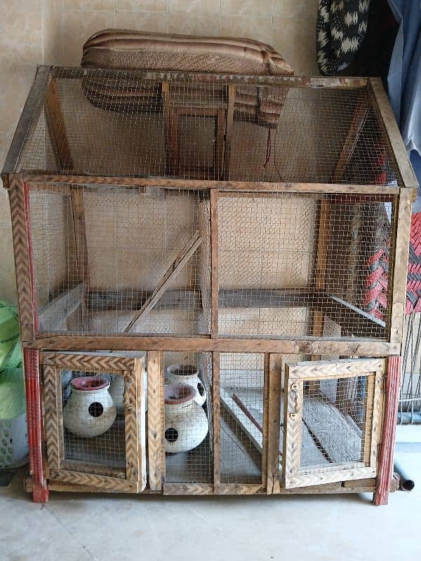 parrots cage 1