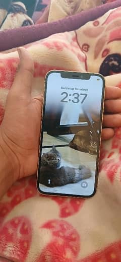 I phone 12 pro | non pta | 256gb |