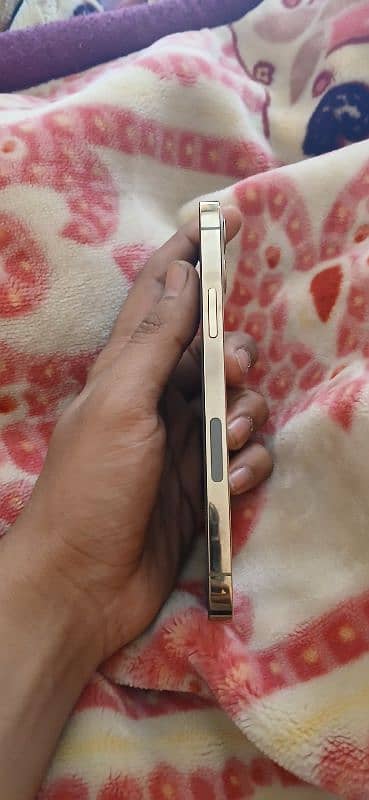 I phone 12 pro | non pta | 256gb | 3