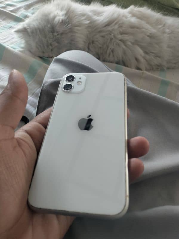 Iphone 11 64gb 1