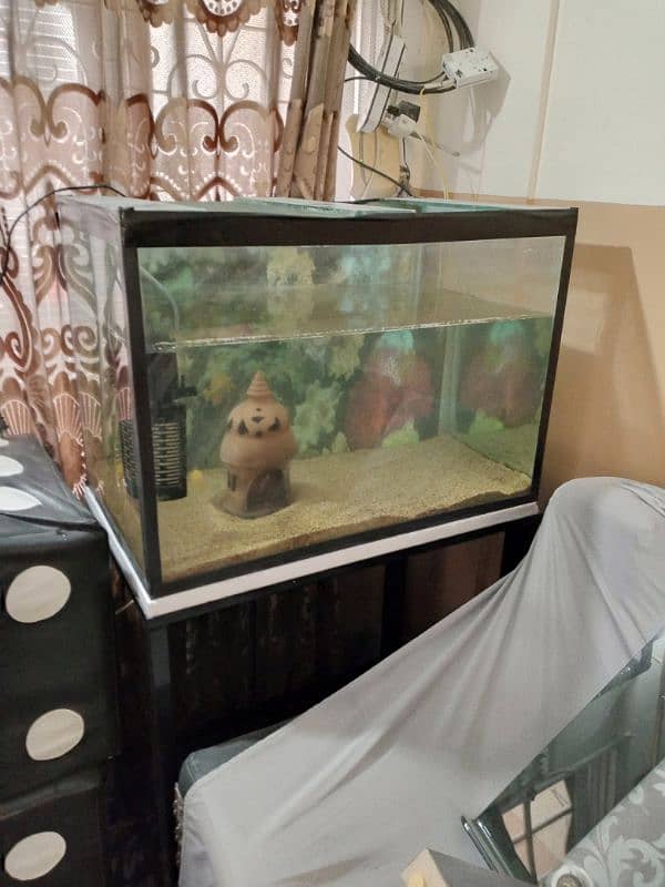 fish aquarium + iron stand 3