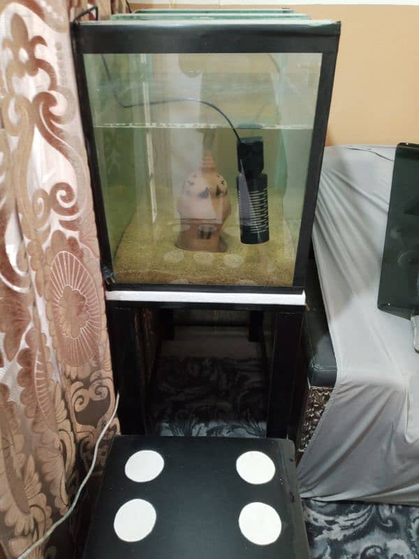 fish aquarium + iron stand 4