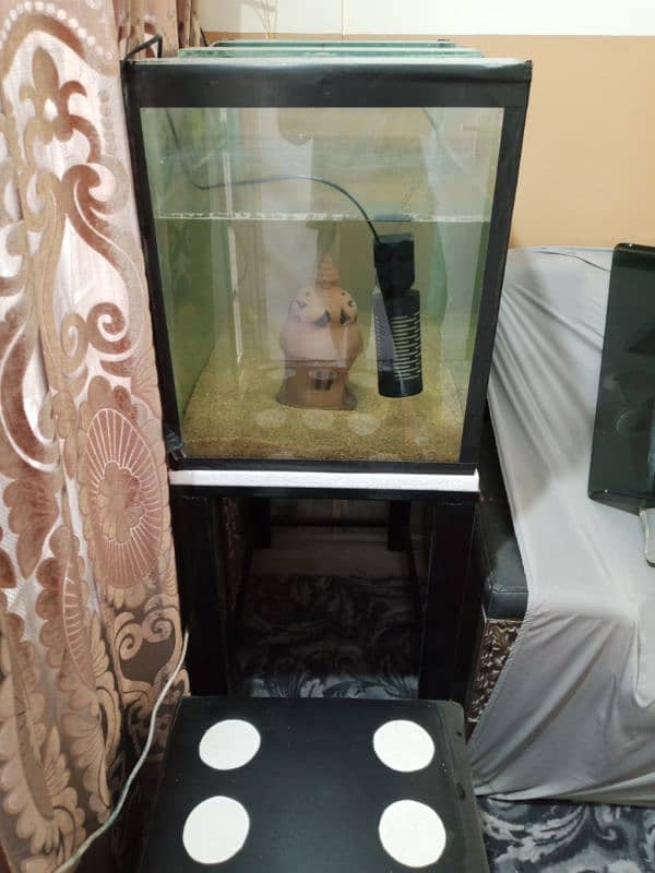 fish aquarium + iron stand 5