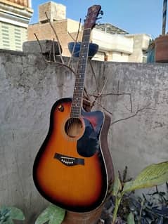 Semi acoustic guitar