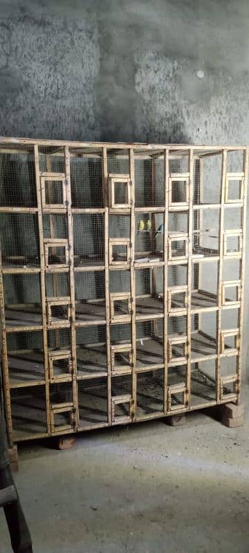 birds cages 1