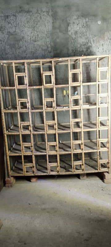 birds cages 2