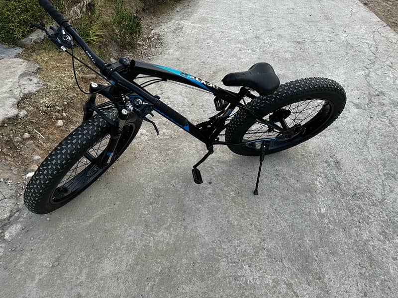 fat bike 1