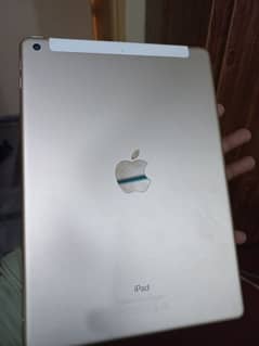 iPad (5th Generation)