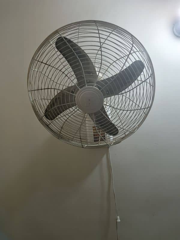 Royal Wall Fan 1