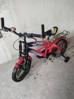 bicycle 10/10 condition