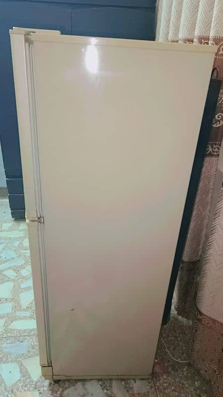 PEL Refrigerator for sale 3