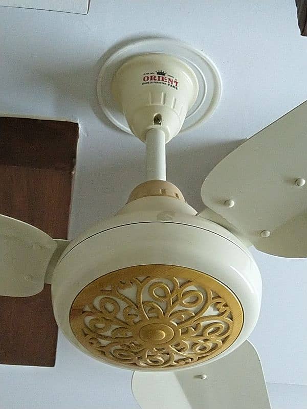 Orient ceiling fan 4