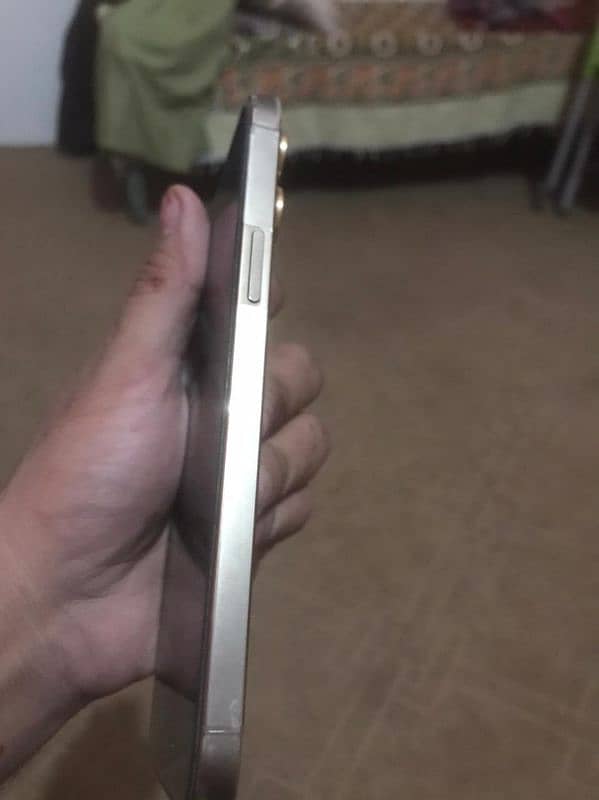 IPHONE 12 PRO MAX Non Pta 2