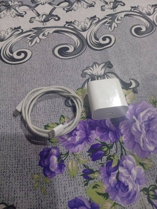 iPhone Original Charger 0