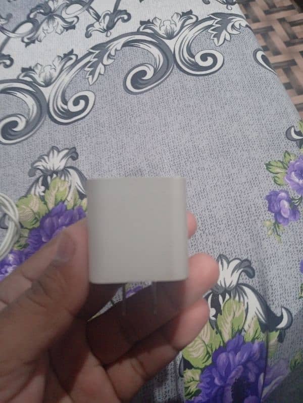 iPhone Original Charger 2