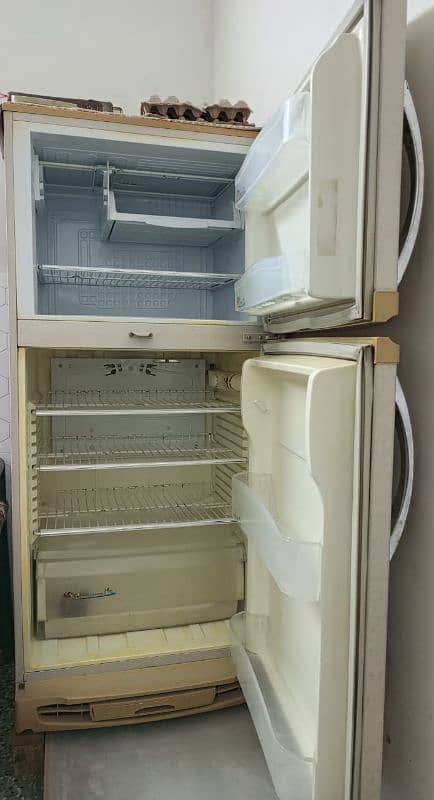 PEL fridge 1