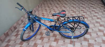 Phoenix Cycle for Sale