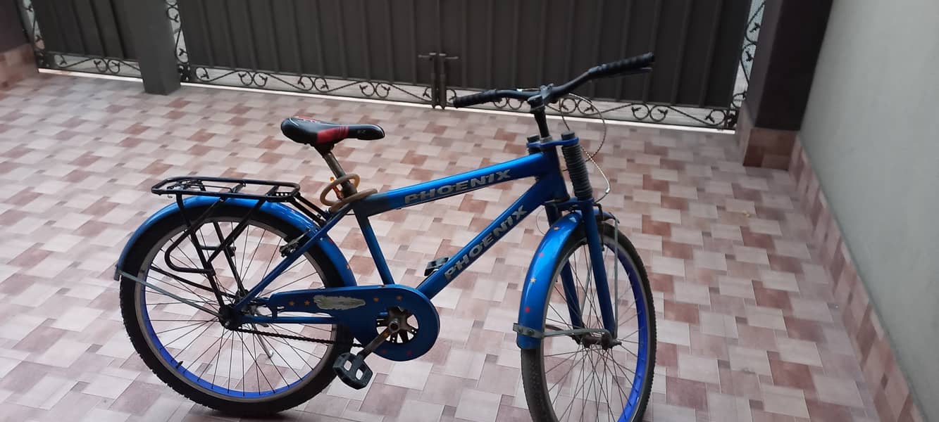 Phoenix Cycle for Sale 2