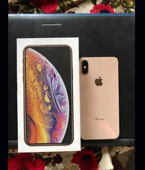 iPhone XS  256gb 1