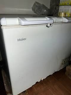 Double door freezer