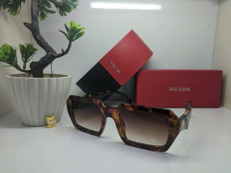 Sunglasses (Prada) 3