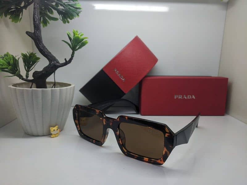 Sunglasses (Prada) 4